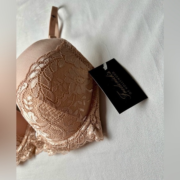 NWT Fredericks of Hollywood Beatrix Scalloped Lace Push Up Bra in Rose - Picture 3 of 6